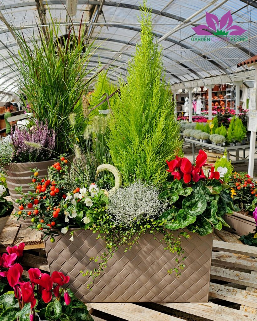 balconiere autunnali (1)