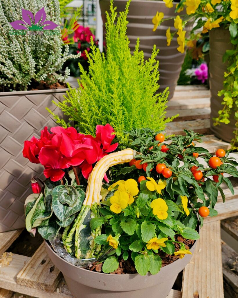 balconiere autunnali (3)