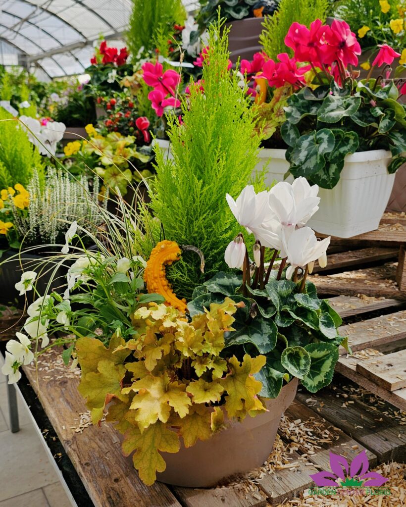 balconiere autunnali (5)