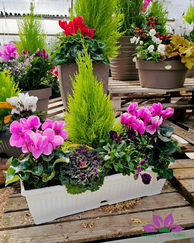 balconiere autunnali (6)